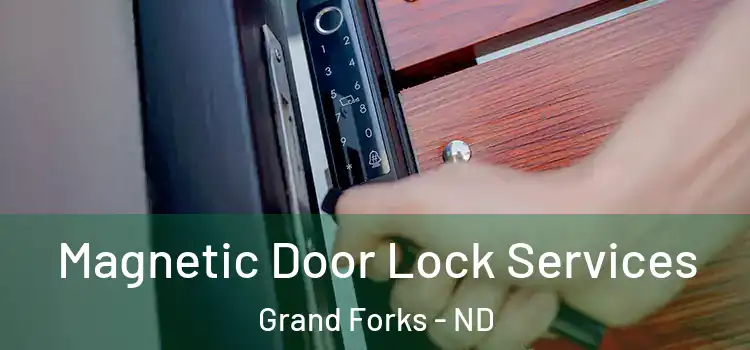 Magnetic Door Lock Services Grand Forks - ND